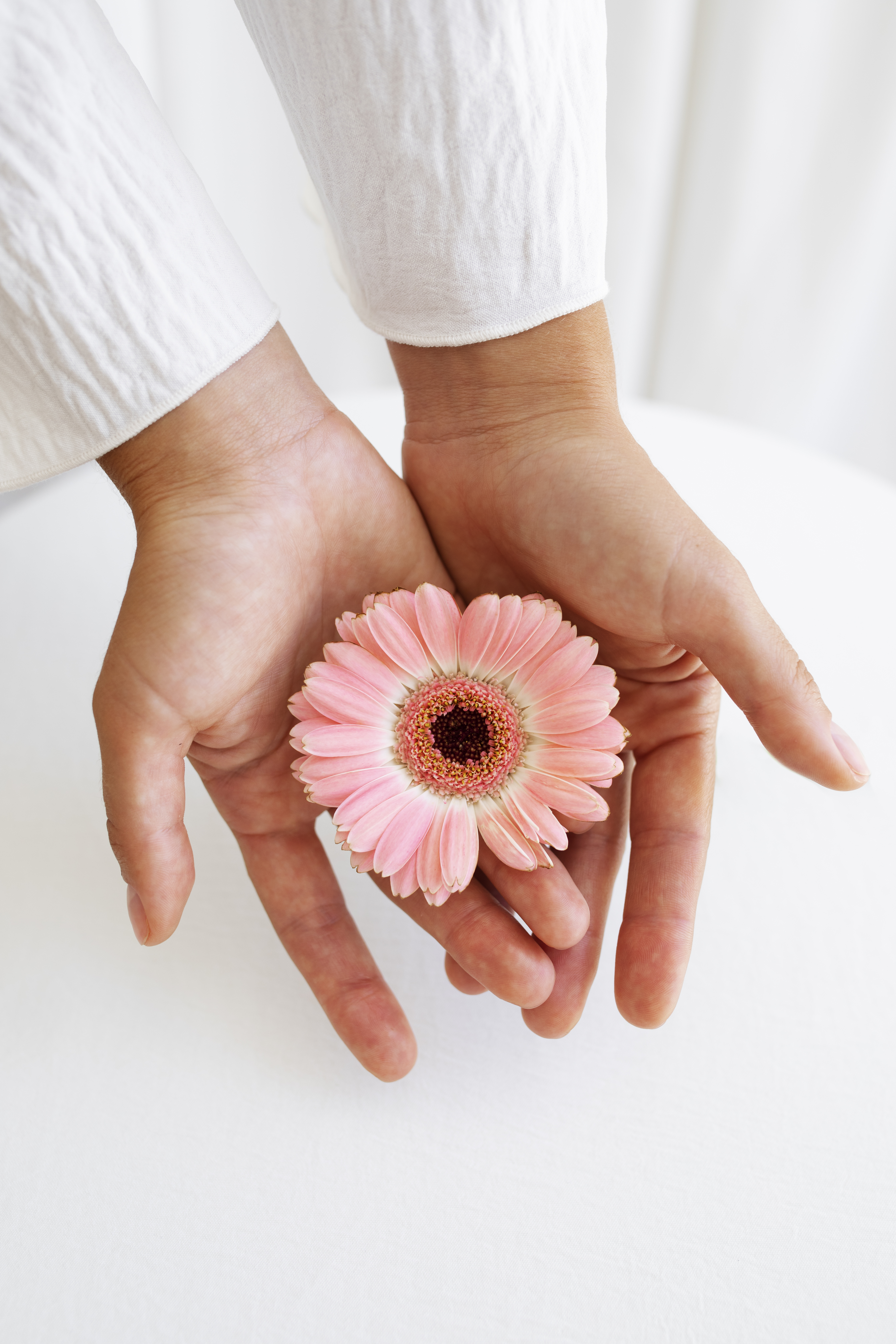 Medicina da Mulher - Cuidados de saúde feminina